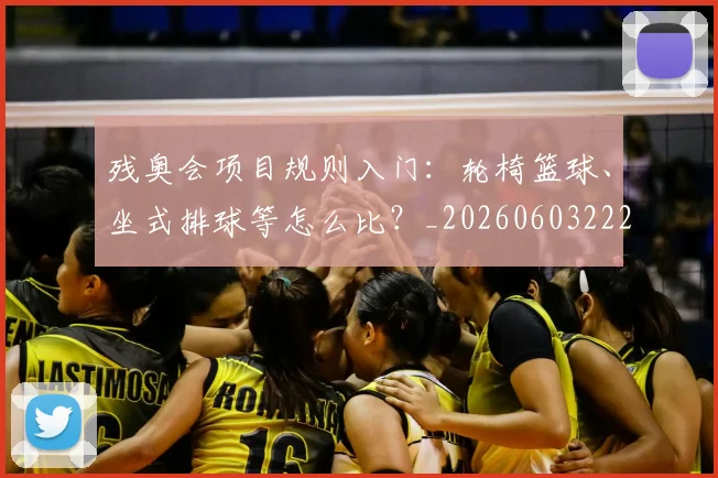残奥会项目规则入门：轮椅篮球、坐式排球等怎么比？_20260603222626